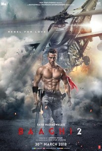 Baaghi 2 2018 HD 720p DVD SCR full movie download
